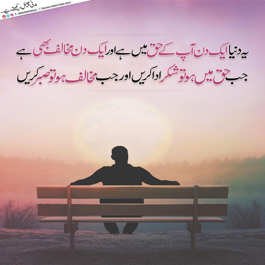 abu ameen